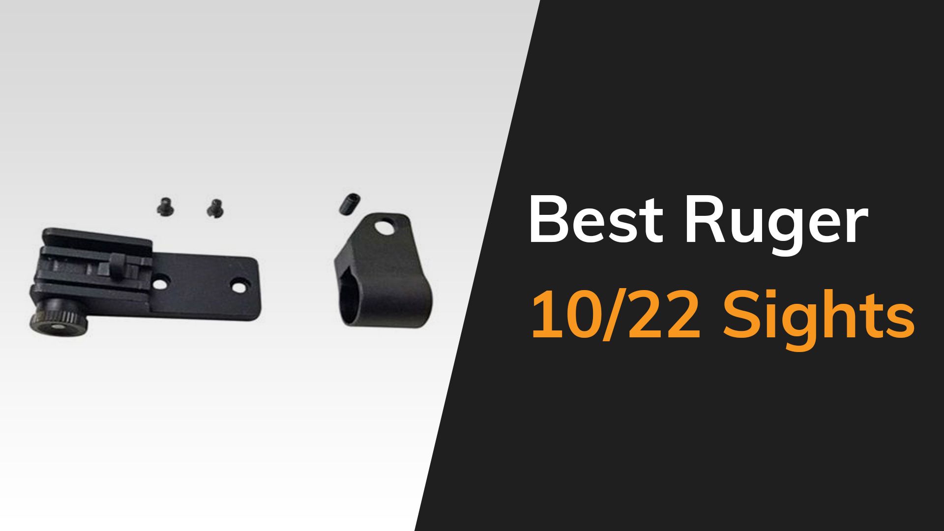 Best Ruger 10/22 Sights Our Top Picks The Arms Guide