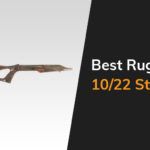 Best Ruger 10 22 Stock