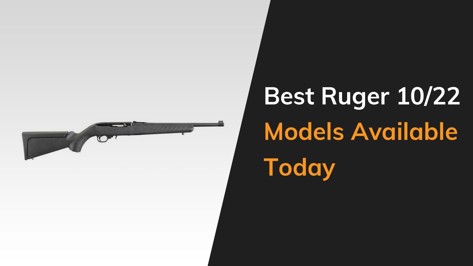 Ruger 10 22 Models Explained