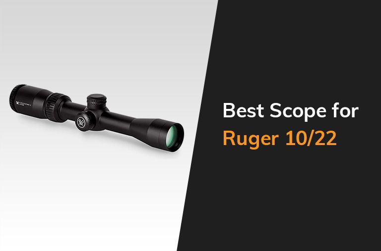 Best Scope For Ruger 10 22