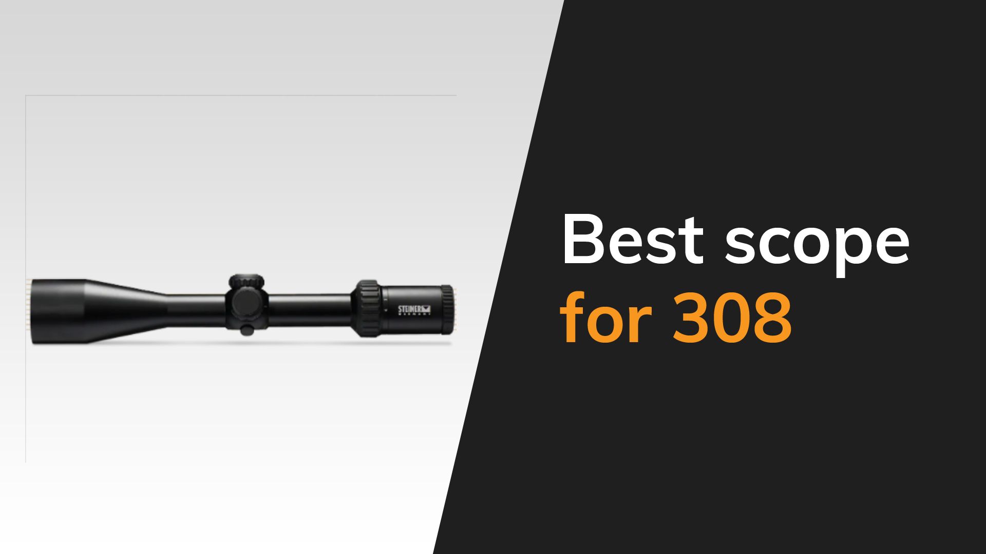 Best Scope for .308 in 2024 The Arms Guide